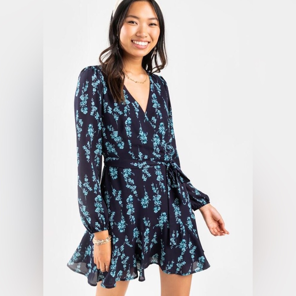 Blue floral Francesca’s dress, size large